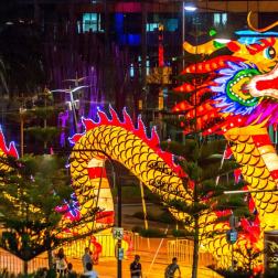 Çin Yeni Yılı Festivali